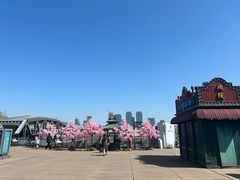 -武汉知音号