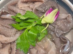 -蜀九香火锅(彩虹店)