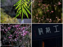 -成都杜甫草堂博物馆