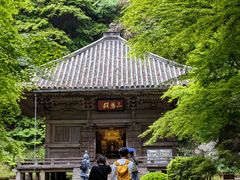-松岛