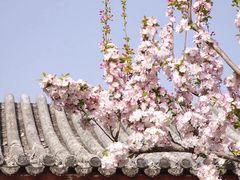 -北京颐和宾馆