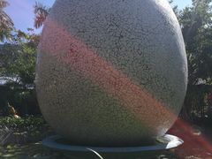-100蛋泥浆浴