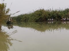 -泗洪洪泽湖湿地景区