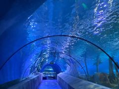 -太平洋海底世界