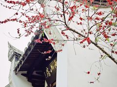 -乌山风景区