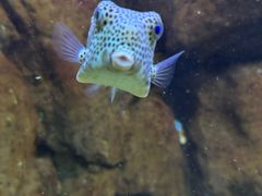 -蓬莱欧乐堡海洋极地世界
