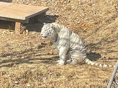 -石家庄市动物园