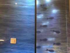 -德尚煌·顺德菜(誉山悠方天地店)