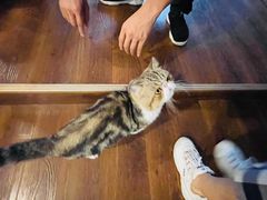 -参差咖啡(水果湖公园店)