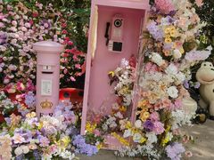 -合肥滨湖国家森林公园