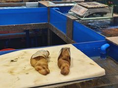 -帝皇海海鲜豆捞(桐泾商务广场店)