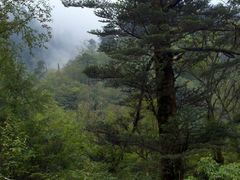 -石棉县孟获城