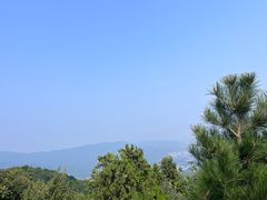 -北京西山国家森林公园