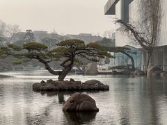 -罗红摄影艺术馆