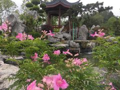 -东莞植物园
