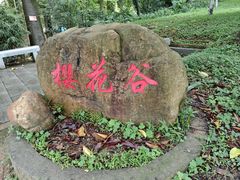 -广州市帽峰山景区