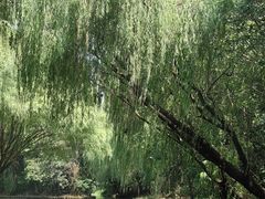 -同里国家湿地公园