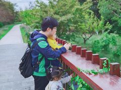 -昆山城市生态森林公园