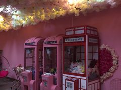 -pink baby·新晋网红打卡地