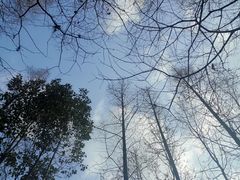 -桤木河湿地公园
