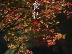 -大宁公园