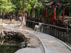 -本溪关山湖风景区