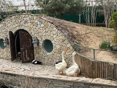 -南宫五洲植物乐园