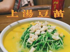 上湯豆苗-榕意·川味之美(深业上城店)