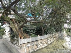 -汇龙潭