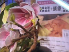 -施奈儿.洗头頭療.按摩SPA.采耳(上梅林店)