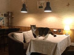 -隅cafe(傅厚岗店)
