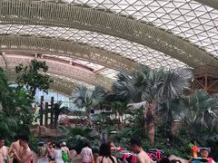 -杭州开元森泊度假乐园