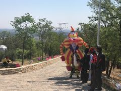 -紫云台香草园
