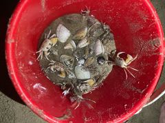 -西涌国际滨海旅游区