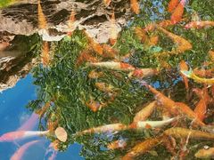 -隐食私房菜(渡口·光荣院南门·老街店)