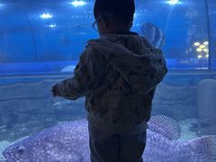 -重庆欢乐海底世界