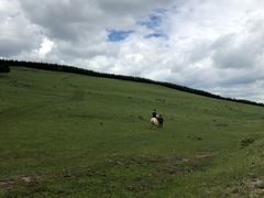 -塞罕坝国家级自然保护区