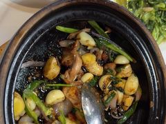 -明本湛江鸡•海鲜小厨(陈家祠店)