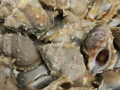 -南沙十九涌渔人码头-南门