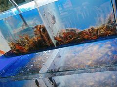 -羊家胡同·龙虾烧烤火锅(龙汇路店)