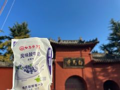 -洛阳白马寺