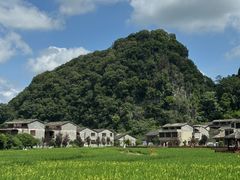 -高荡千年布依古寨旅游景区