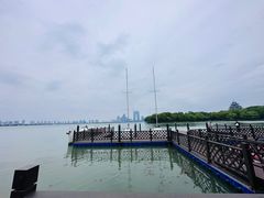 -金鸡湖桃花岛