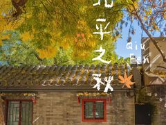 -烟袋斜街