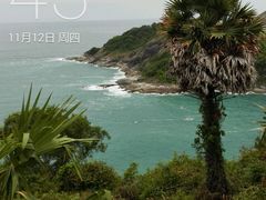 -鸡鸣汤包(乐购仕店)