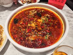 -天辣(金桥啦啦宝都店)
