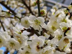 -鹫峰国家森林公园