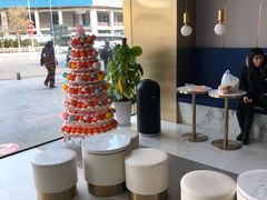 -CoCo都可(中联广场店)