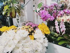 -FEI FEI FLOWER鲜花店·气球派对·宝宝宴布置(虹口德必运动Loft店)