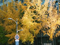 -浙江大学(紫金港校区)